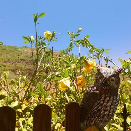Carmela 別荘 バジェエルモソ